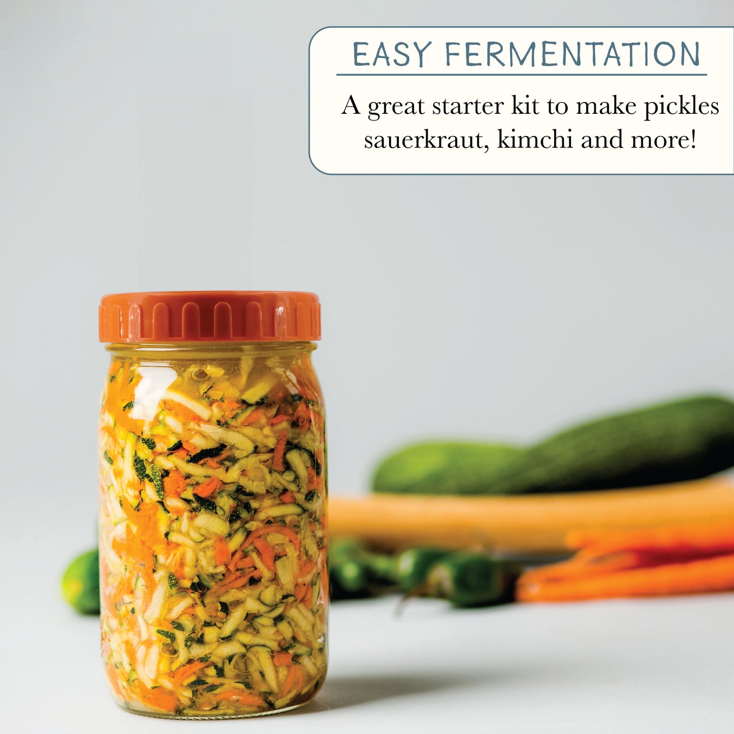 Elementi Fermentation Kit - Set of 4 Glass Fermentation Weights and Mason Jar Lids