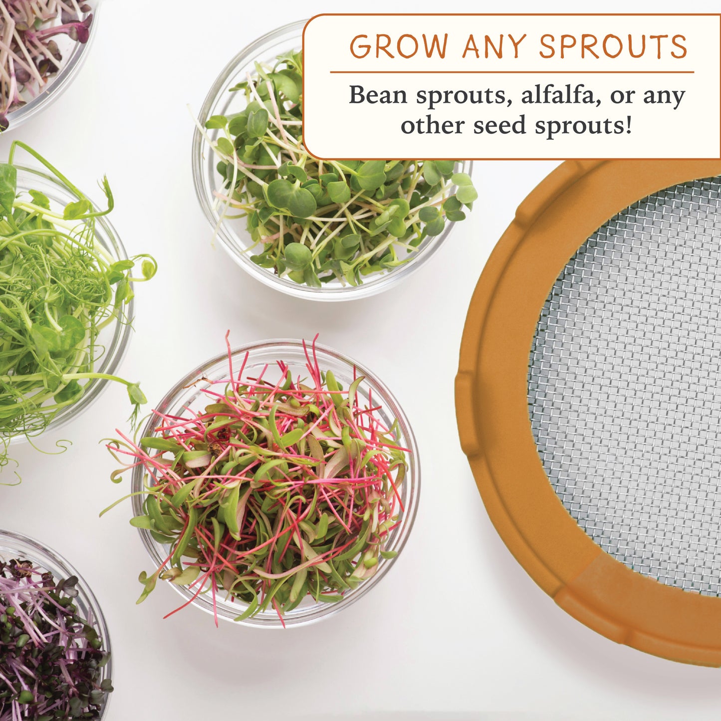 Elementi Sprouting Kit - Set of 2 Sprouting Lids for Wide Mouth Mason Jars (Maple Orange)