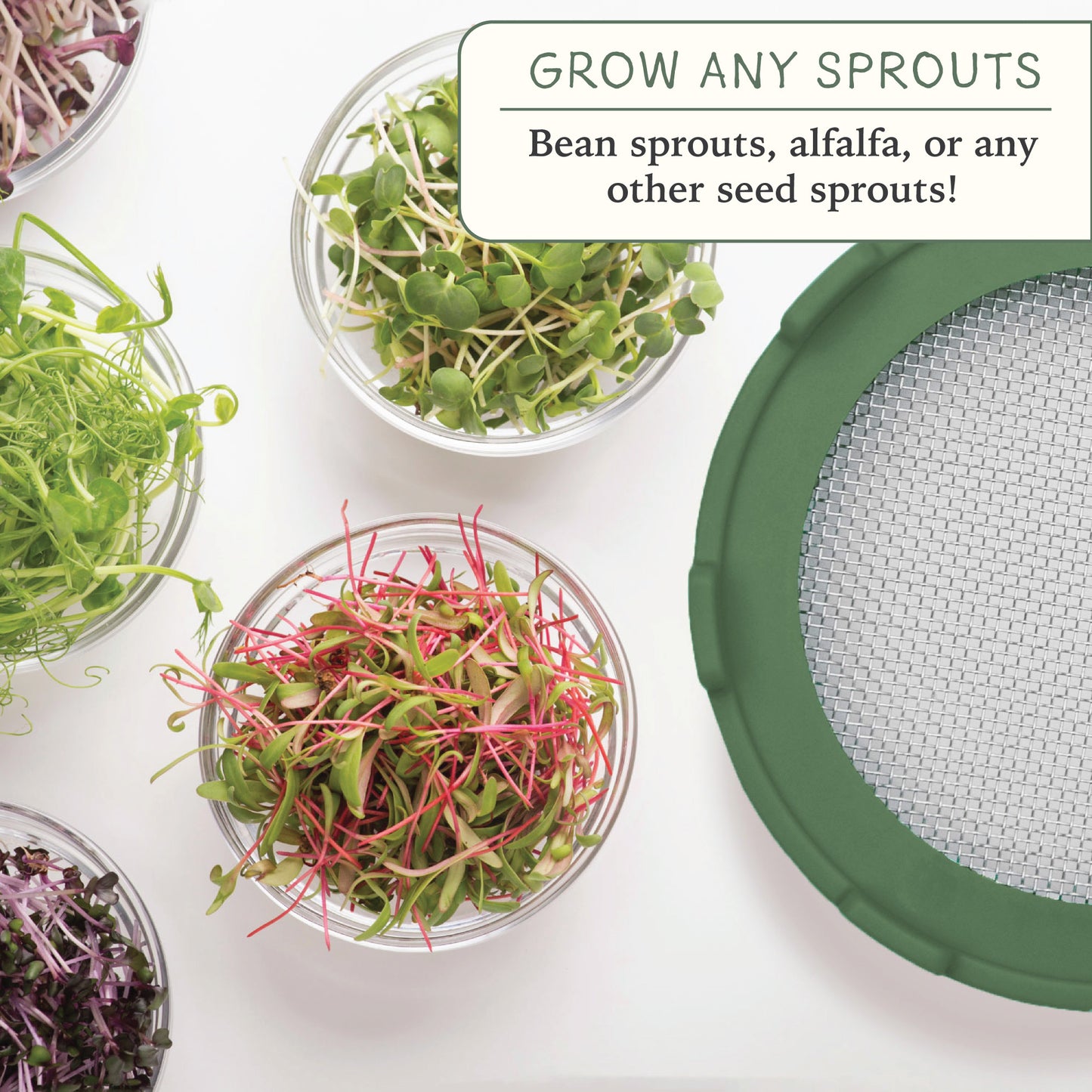 Elementi Sprouting Kit - Set of 2 Sprouting Lids for Wide Mouth Mason Jars (Sage Green)