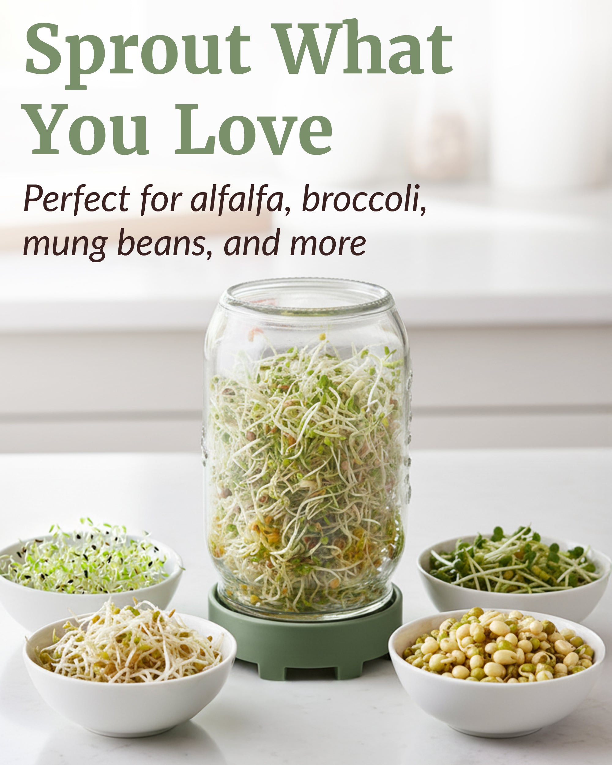 Elementi Sprouting Jar Kit - Set of 4