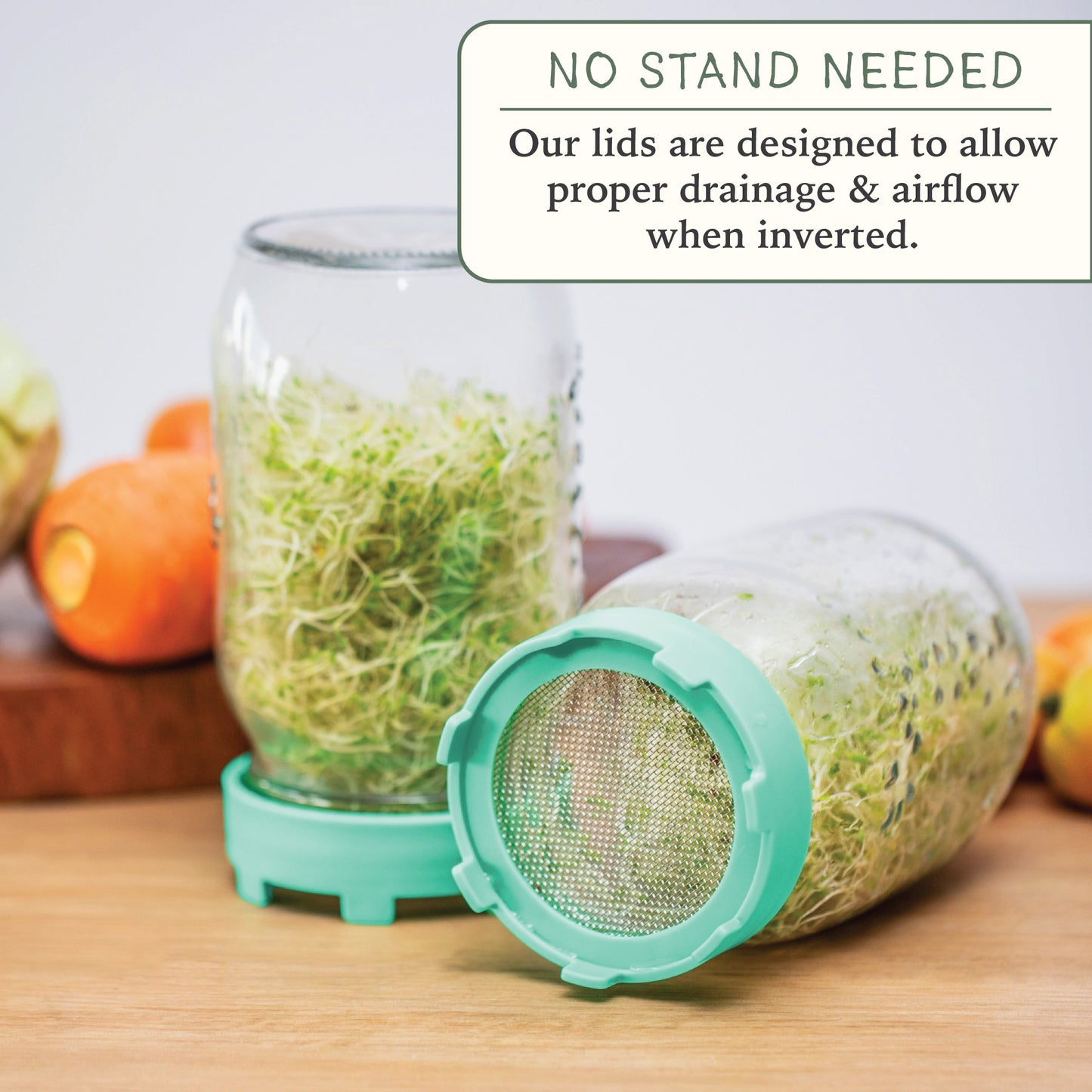 Elementi Sprouting Kit - Set of 2 Sprouting Lids for Wide Mouth Mason Jars (Sage Green)