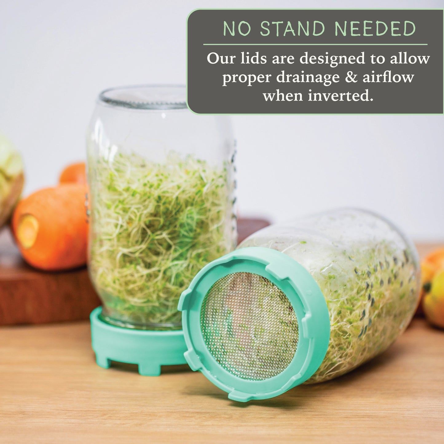 Elementi Sprouting Kit - Set of 2 Sprouting Lids for Wide Mouth Mason Jars (Mint Green)