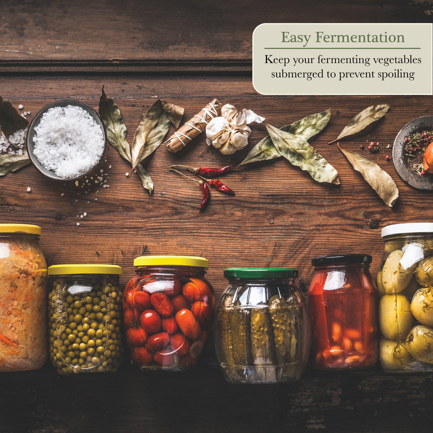 Elementi Fermentation Weight Set of 4