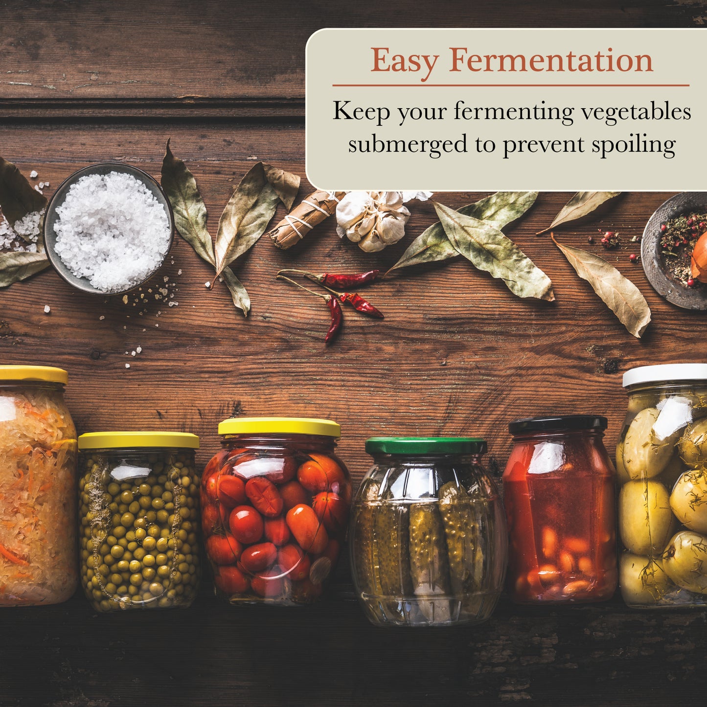 Easy Grip Fermentation Weight Set of 4