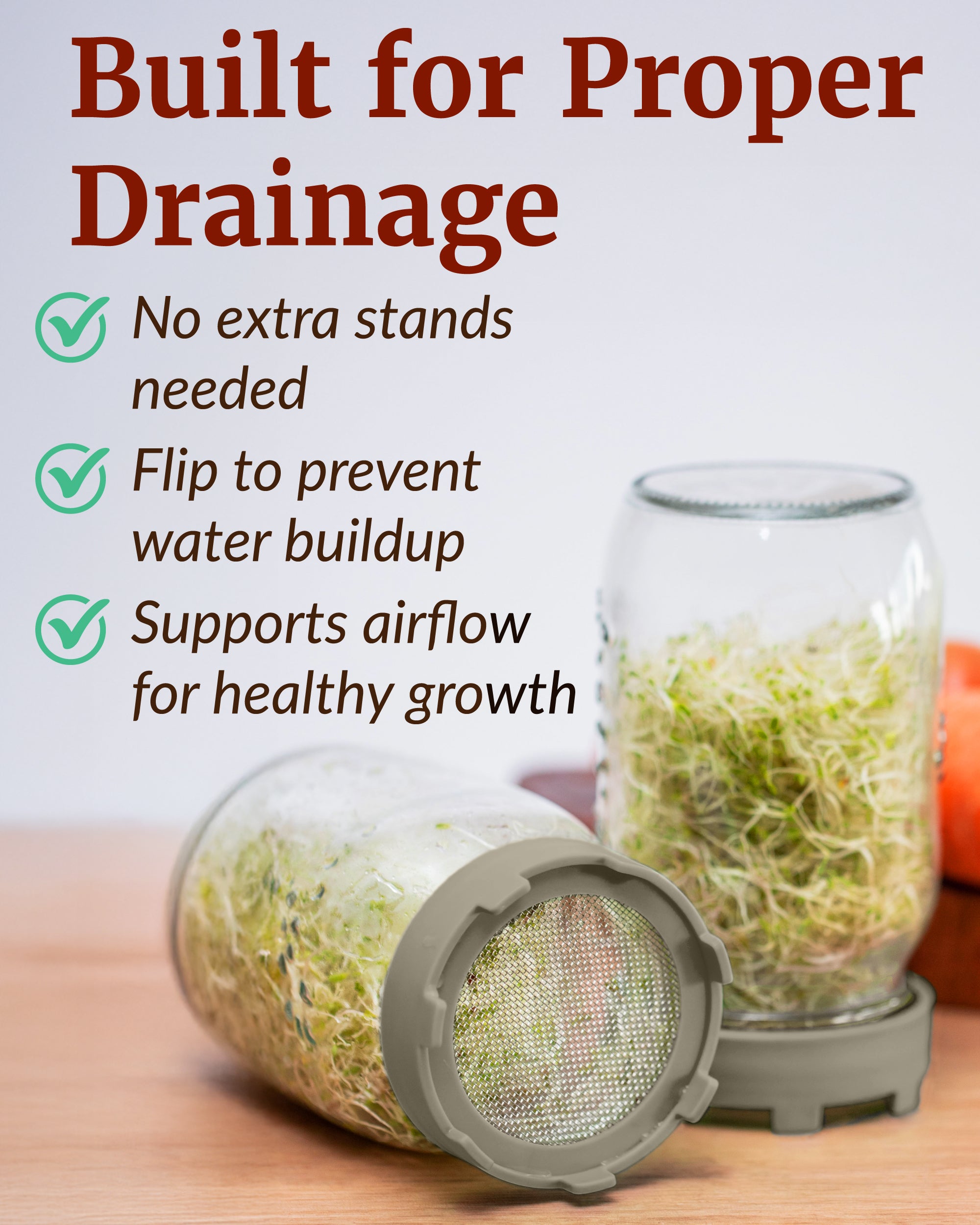 Elementi Sprouting Lids Set of 4 (Mushroom)