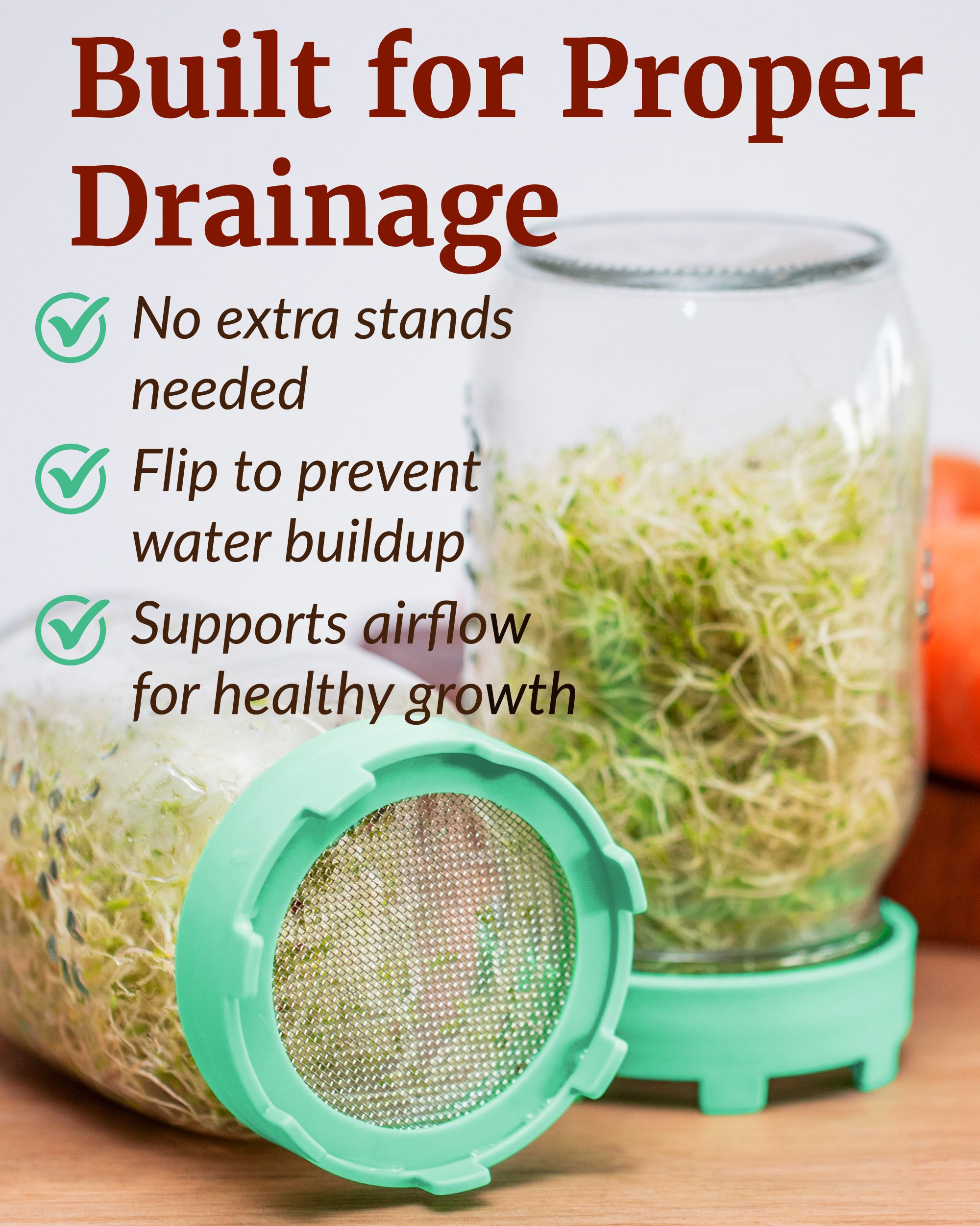 Elementi Sprouting Lids - Set of 4