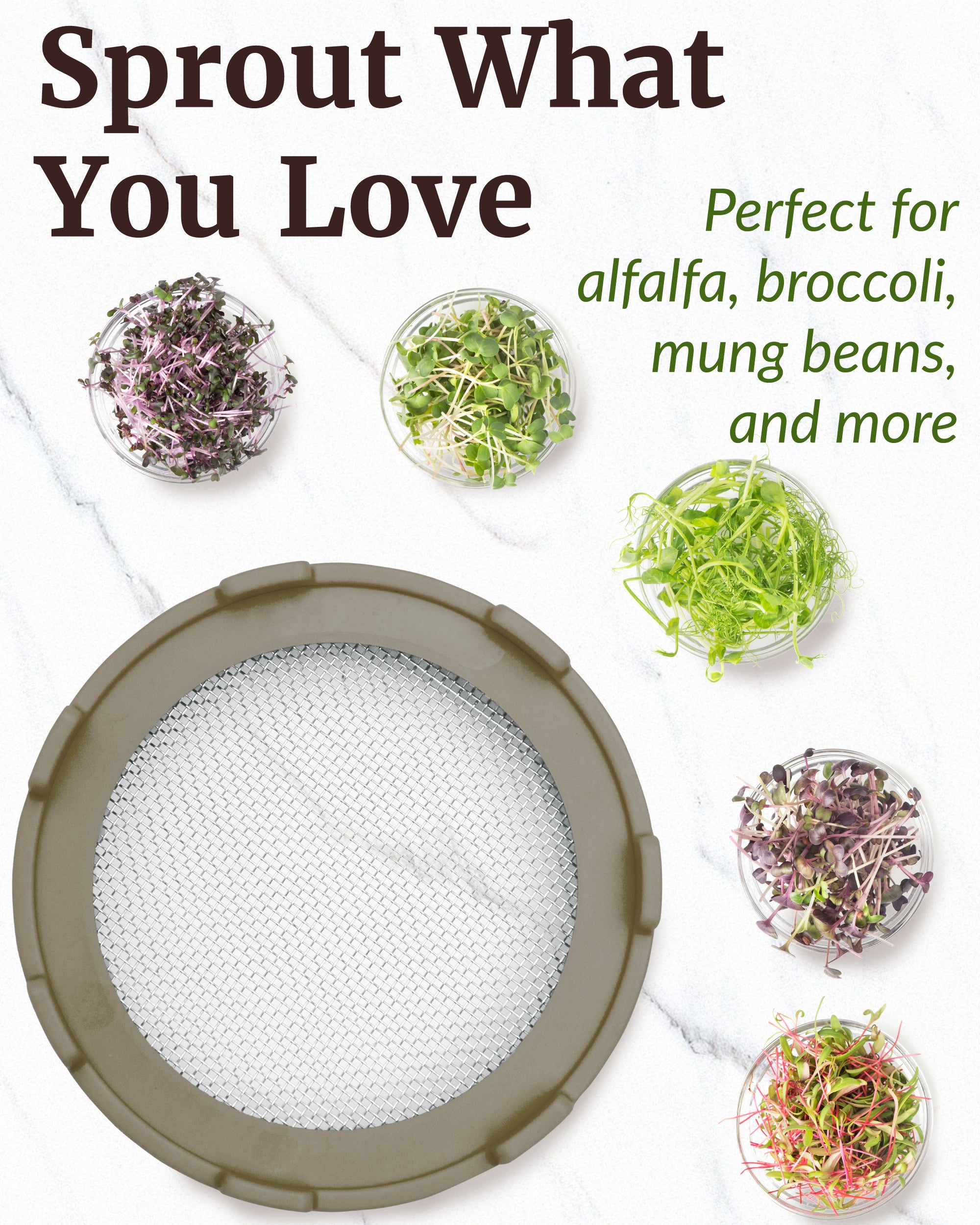 Elementi Sprouting Lids Set of 4 (Mushroom)