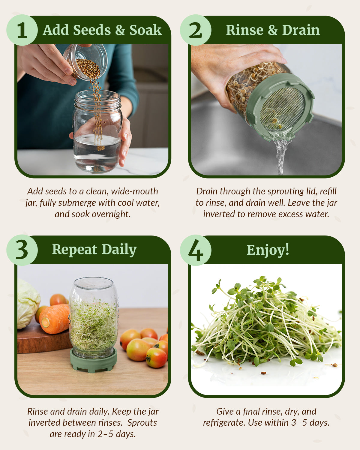 Elementi Sprouting Jar Kit - Set of 4