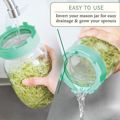 Elementi Sprouting Kit - Set of 2 Sprouting Lids for Wide Mouth Mason Jars (Sage Green)