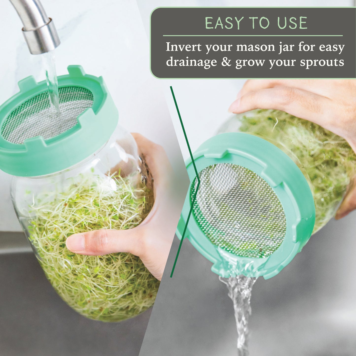 Elementi Sprouting Kit - Set of 2 Sprouting Lids for Wide Mouth Mason Jars (Mint Green)