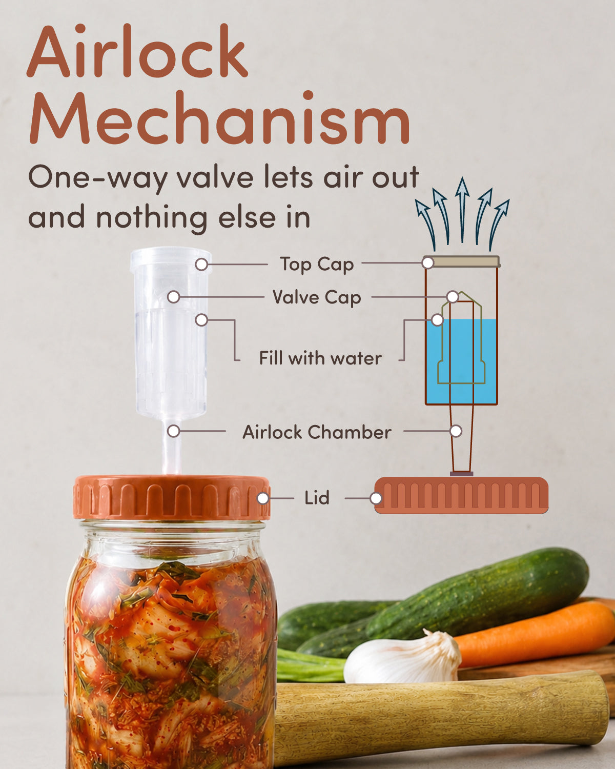 Elementi Mason Jar Fermentation Kit - Easy to Use Sauerkraut, Kimchi & Pickling Kit - Airlocks for Fermenting Jar - 4 Wide Mouth Fermentation Lids, 4 Glass Fermenting Weights & Wooden Tamper