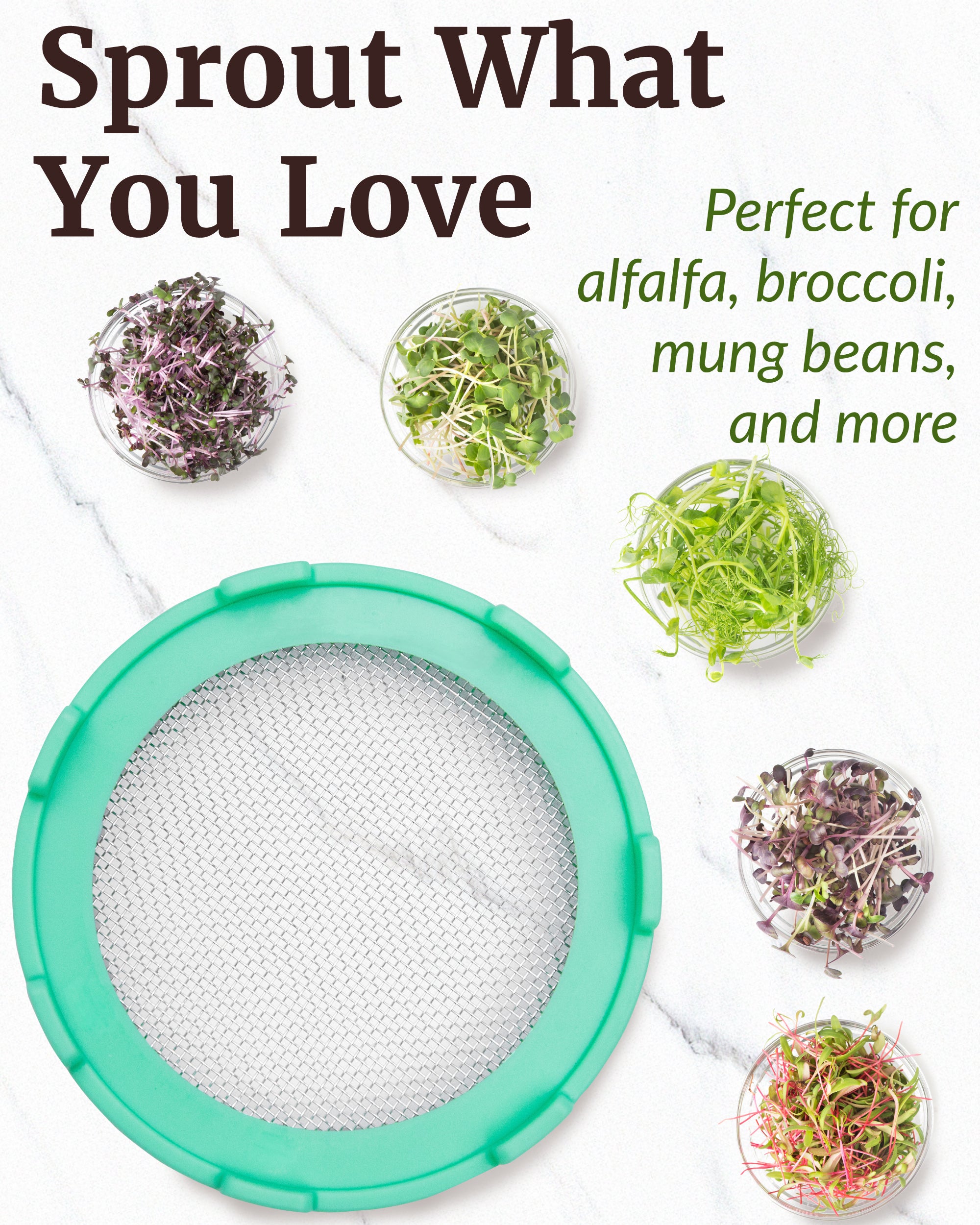 Elementi Sprouting Lids Set of 4 (Mushroom)