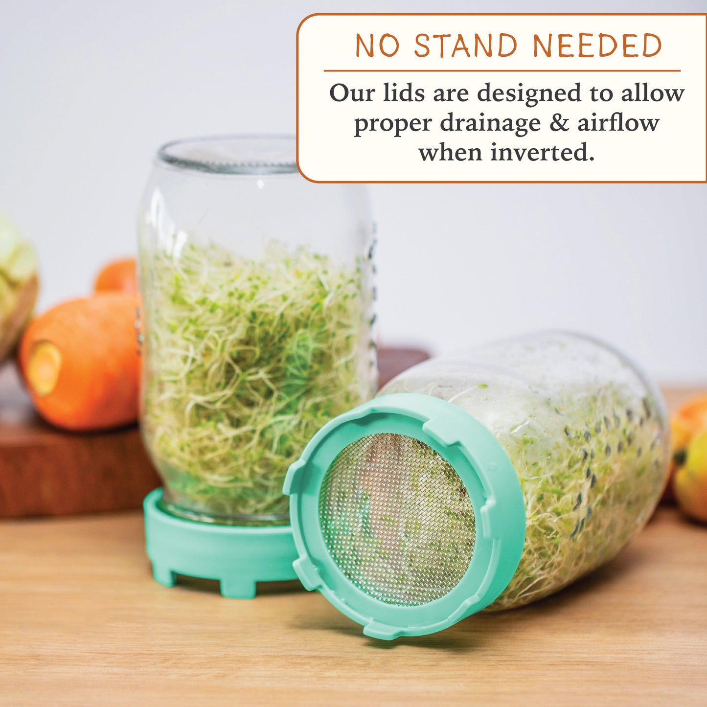 Elementi Sprouting Kit - Set of 2 Sprouting Lids for Wide Mouth Mason Jars (Maple Orange)